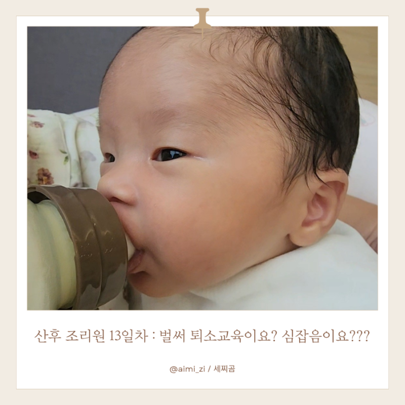 [출산기록] 출산 19일차 / 창원 모란 산후조리원 13일차
