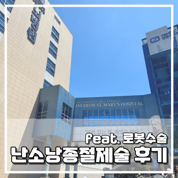 1. 난소낭종 자궁내막증 로봇수술 후기 :: 발견계기, 통증, 수술 예약까지 솔직 기록 / 난소혹 ....