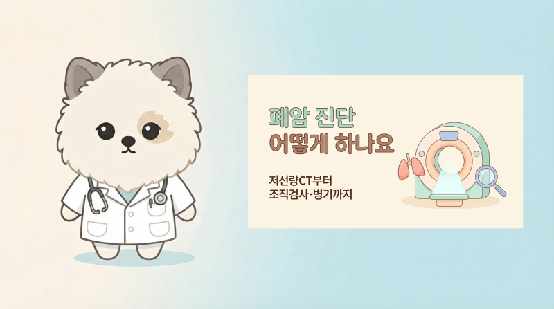 폐암 진단 어떻게 하나요, 저선량CT부터 조직검사·병기까지 (2편)