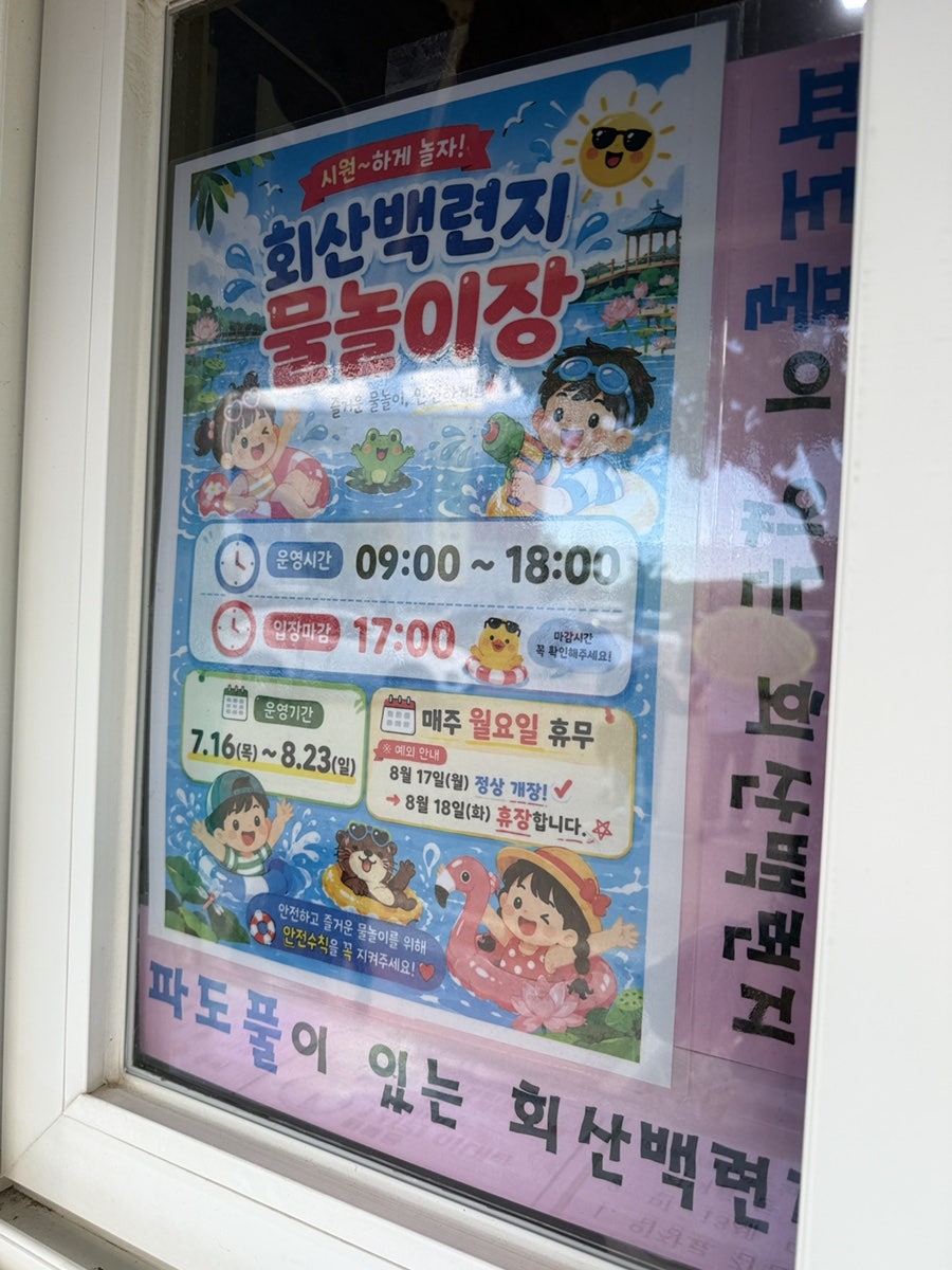 무안회산백련지 사진 4