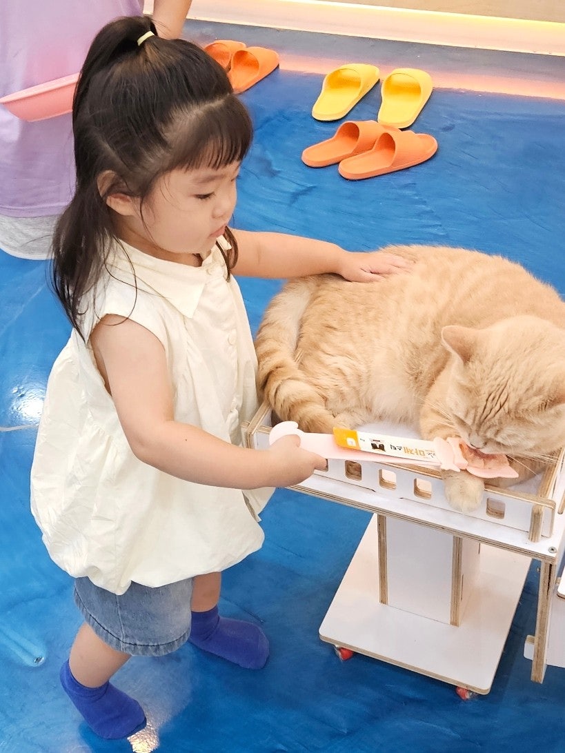 고양이카페아이캣유 사진 4