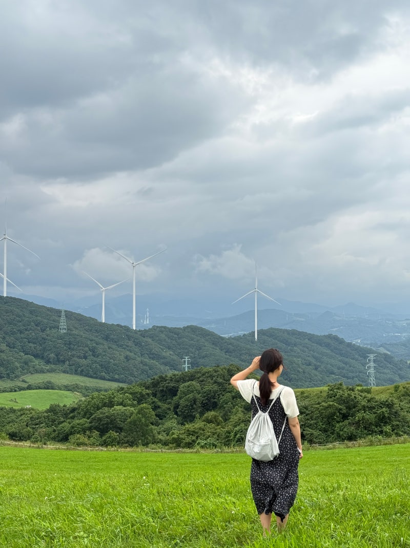 Pyeongchang Travel: Honest Review of Daegwallyeong Haneul Ranch with Kids