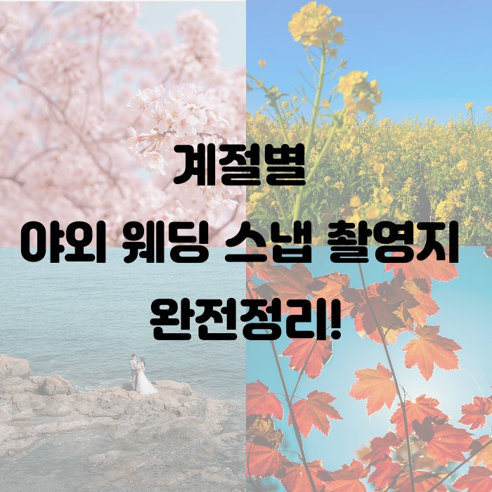 계절별 야외 웨딩 스냅 촬영지 완전정리! (feat. 9월 바다+풀 완전 특집)
