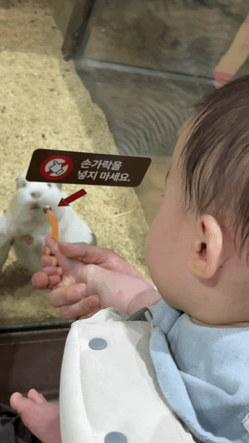 대구 아기랑 실내 가볼 만한 곳｜11개월 아기와 신세계백화점 아쿠아리움 인어공연 솔직후기....