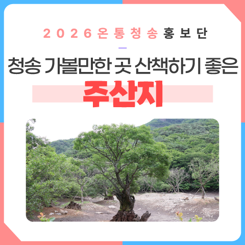 청송 가볼만한 곳 산책하기 좋은 주산지