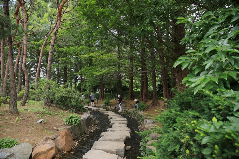 세미원 사진 6