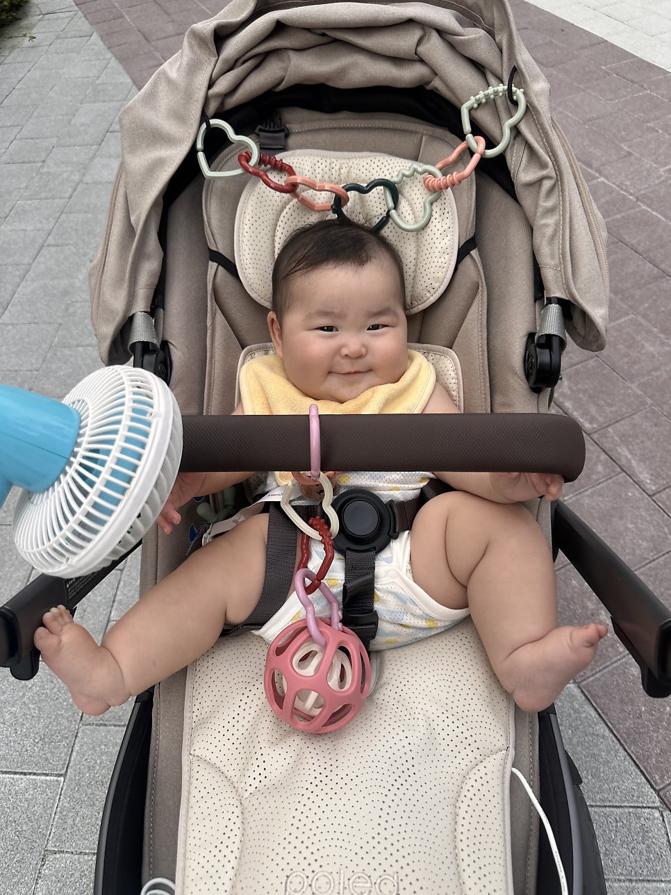 빙동댕 사진 2