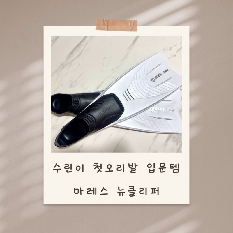 수린이 첫 오리발 추천! 남대문 남도스포츠(남도사) 마레스 뉴클리퍼 구매 후기