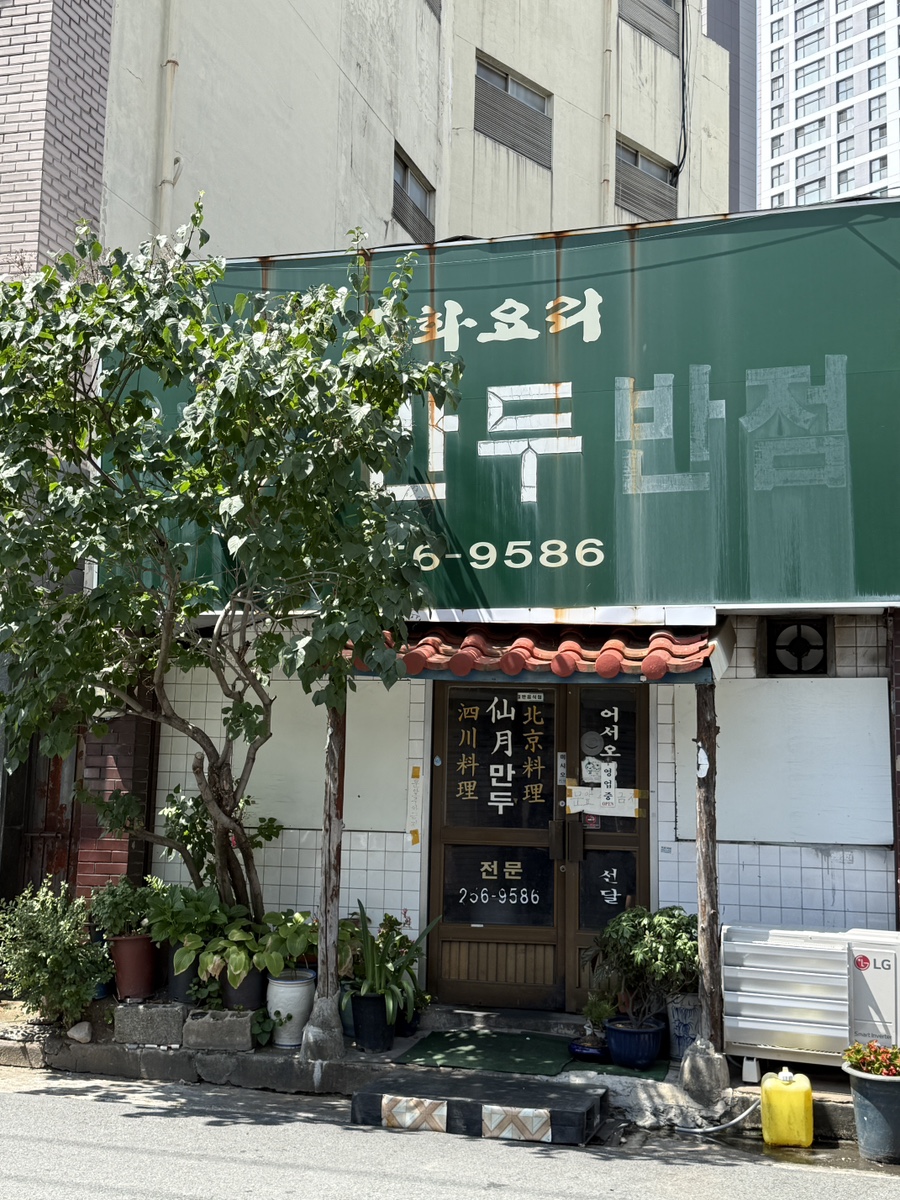 선월만두반점 사진 2