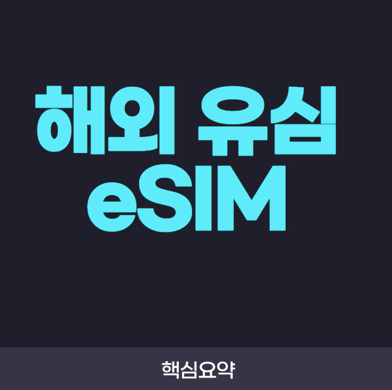 해외 유심과 eSIM은 무엇이 다를까? 해외여행 통신 방법 비교 총정리
