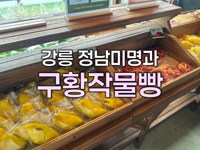[강릉] 강문해변 구황작물빵, 강릉 정남미명과 빵 종류 및 가격, 구황작물빵 보관방법
