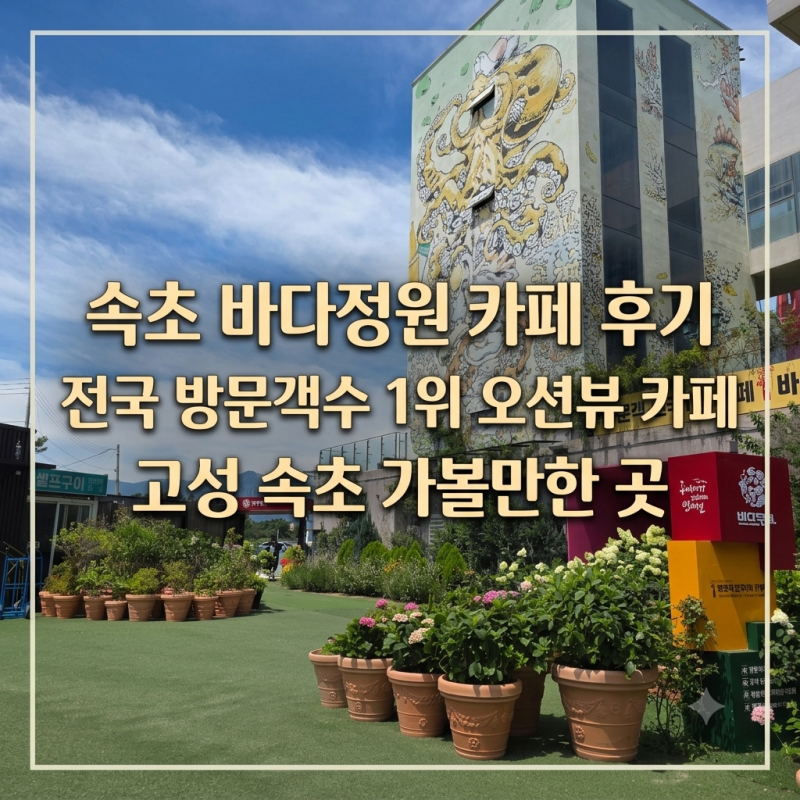 속초 바다정원 카페 후기｜전국 방문객수 1위 오션뷰 카페 | 고성 속초 가볼만한 곳