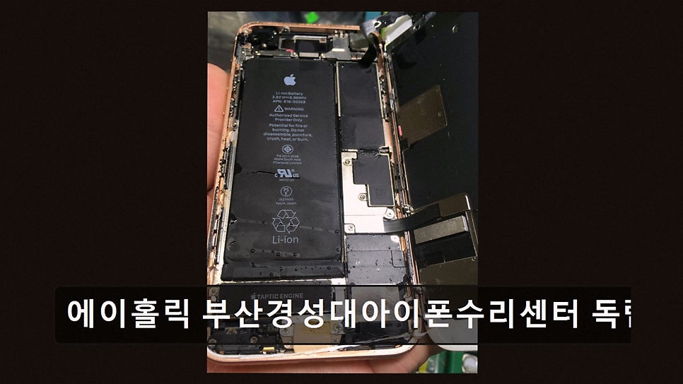 홀릭 사진 2