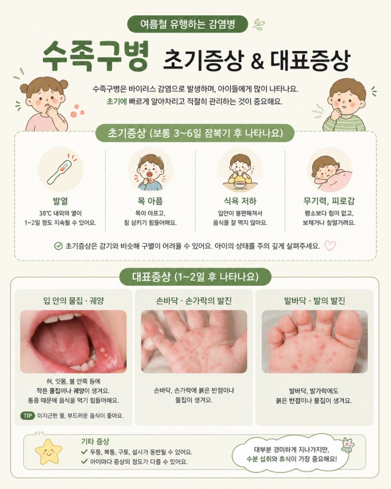 수족구 증상 초기증상부터 전염기간, 등원·등교 시기까지