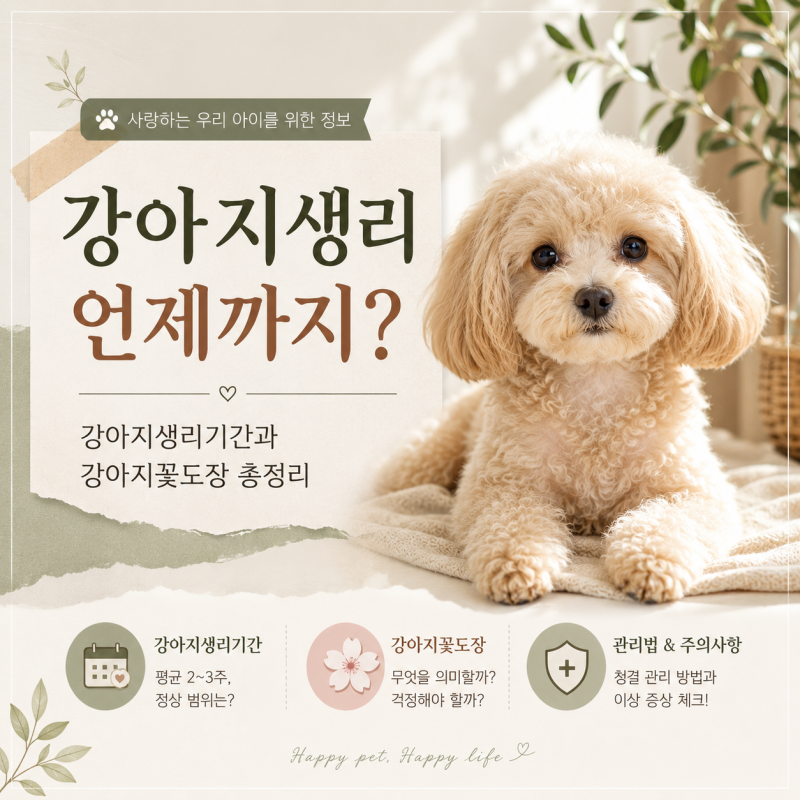 강아지생리 언제까지? 강아지생리기간과 강아지꽃도장 알아보기