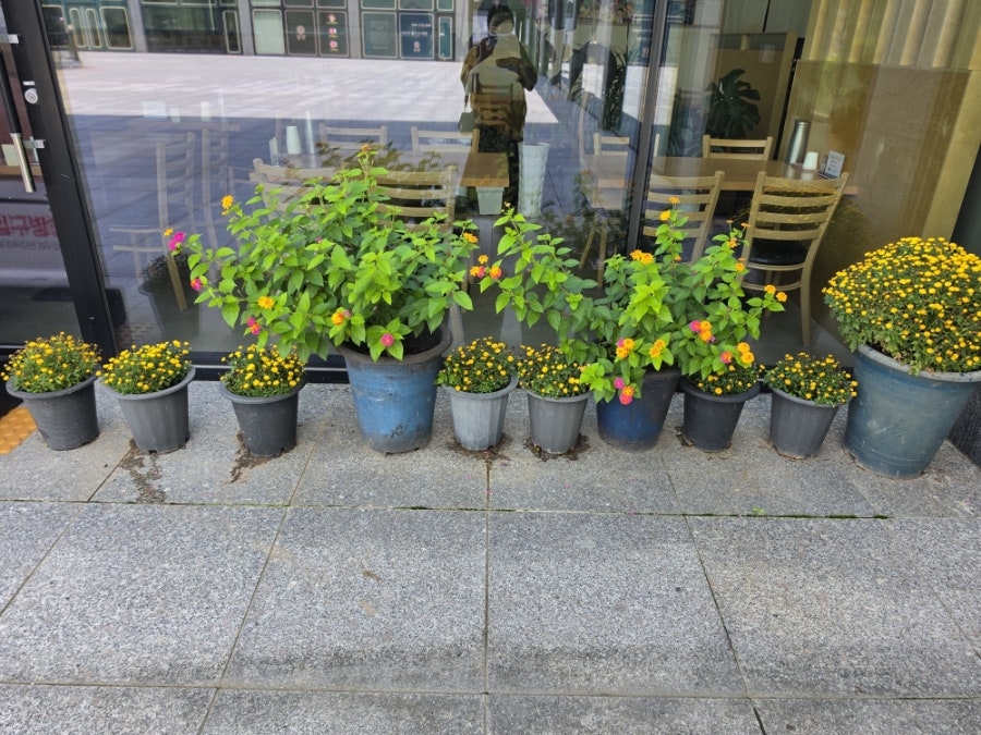 우츠 사진 6