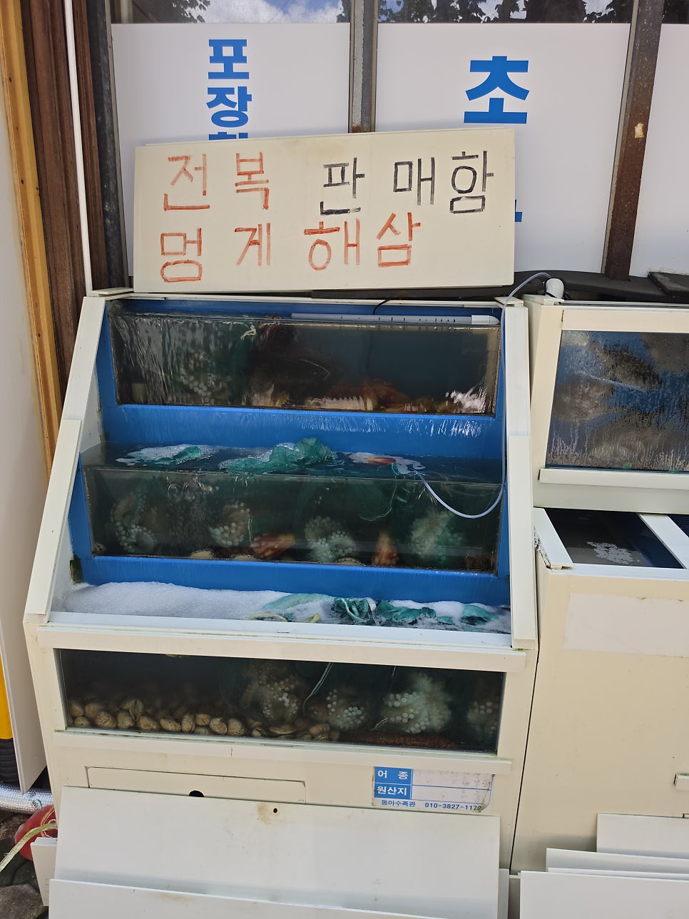동어담 사진 6
