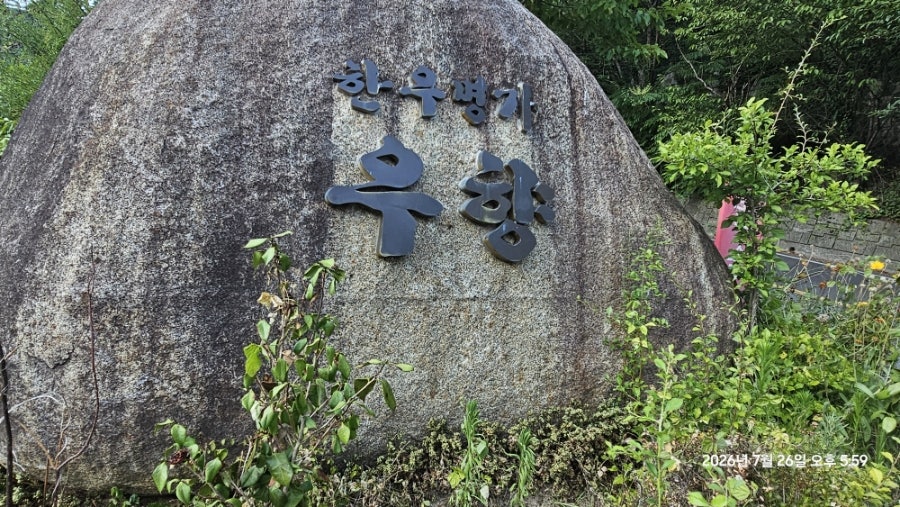 우향 사진 5