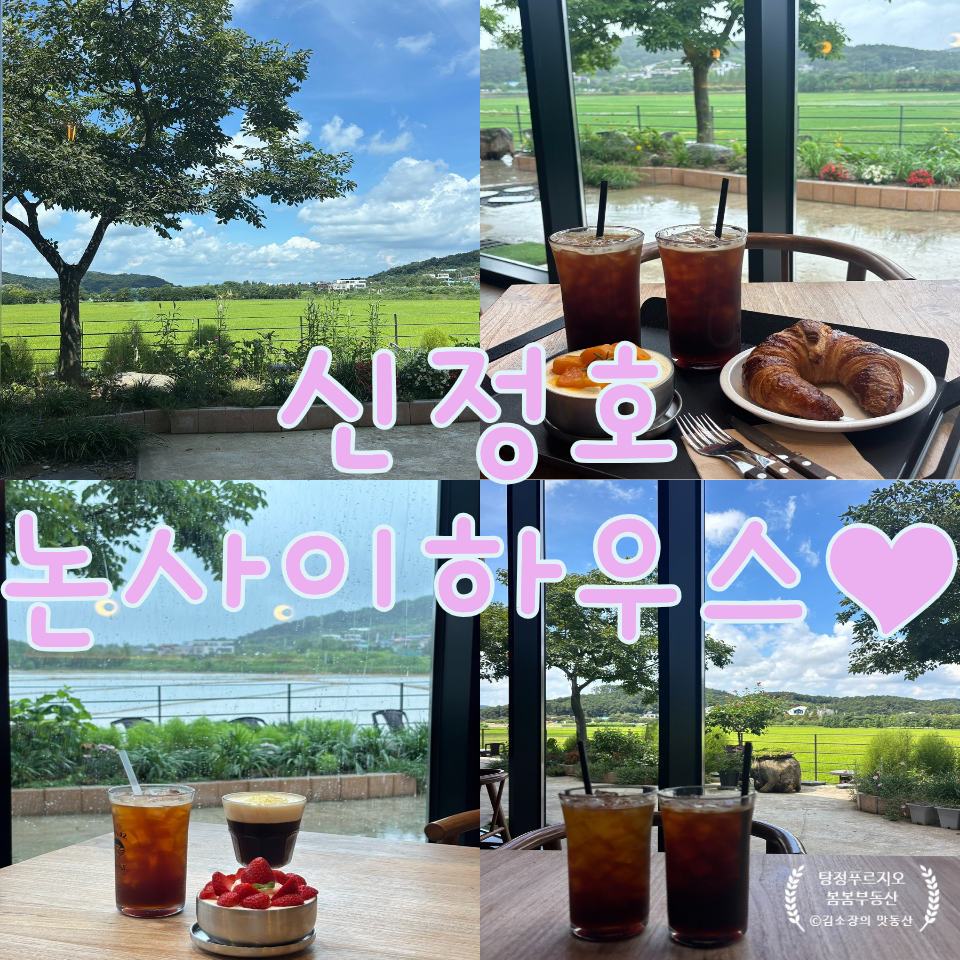 논사이하우스 사진 1