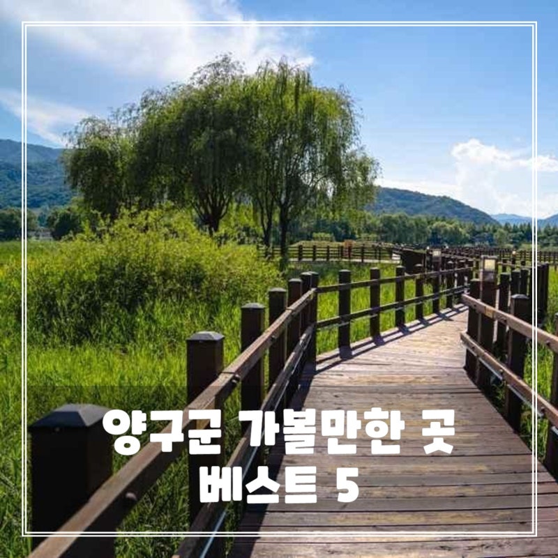 Top 5 Yanggu County Attractions - Recommended Travel Destinations