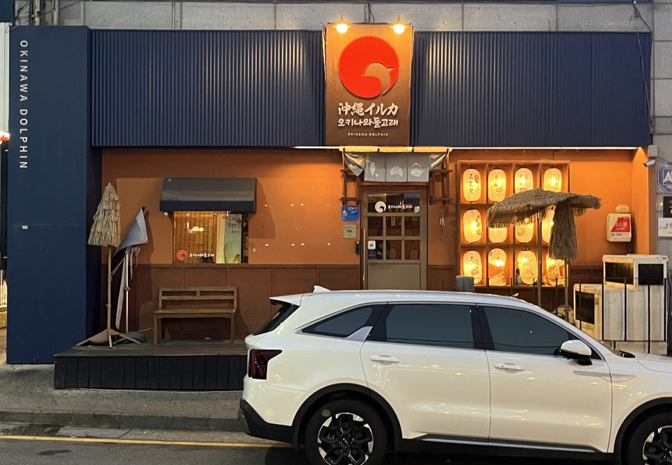 오키나와돌고래 사진 2