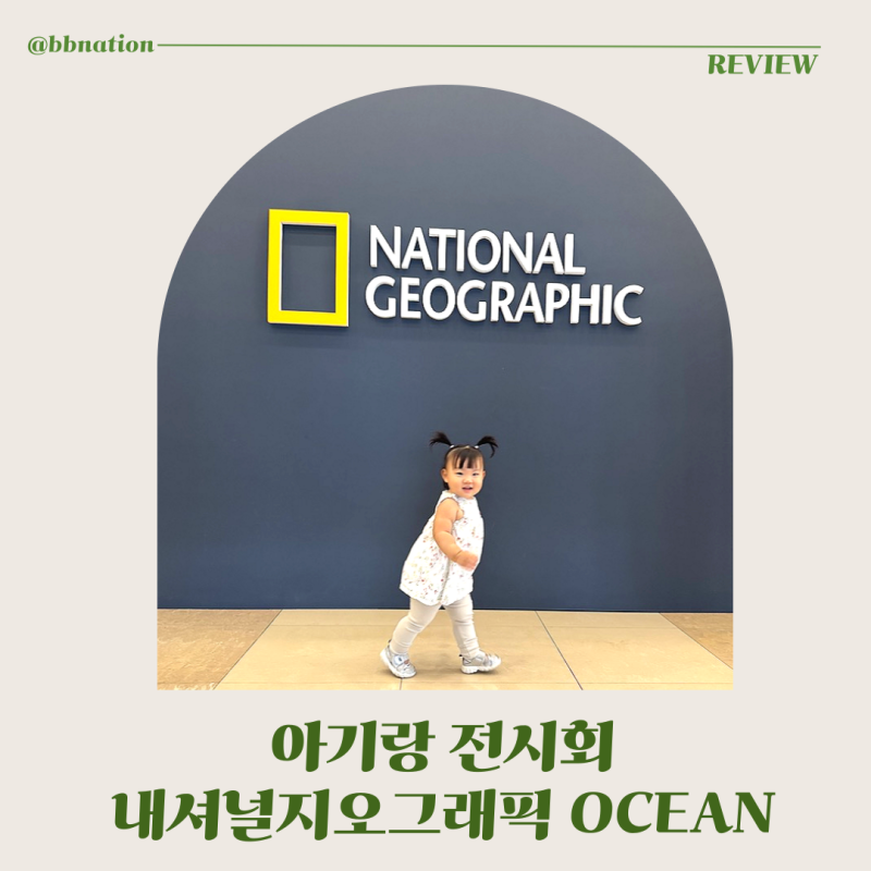 2026 여름방학 아이랑 전시회 추천, 내셔널지오그래픽 OCEAN 다녀온 후기