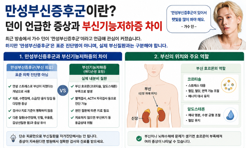 만성부신증후군이란? 던이 언급한 증상과 부신기능저하증 차이