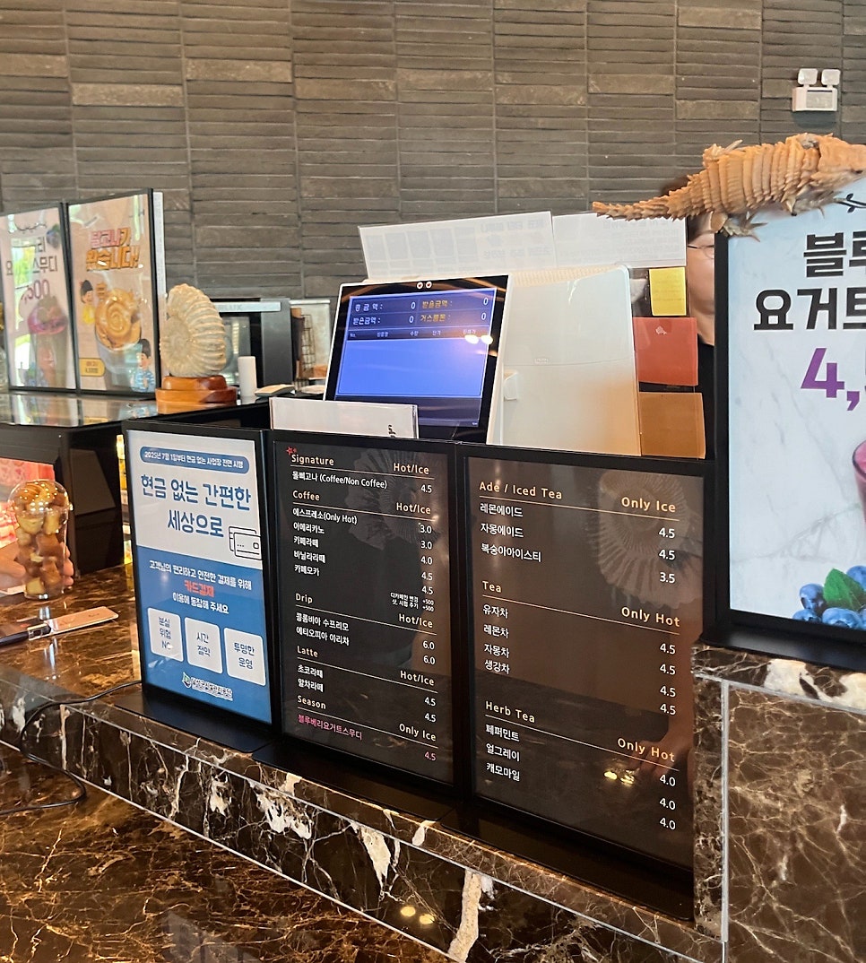 카페돌삐 사진 3