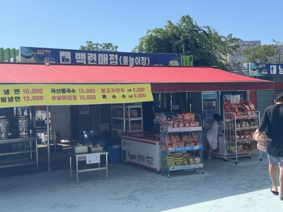 무안회산백련지 사진 6