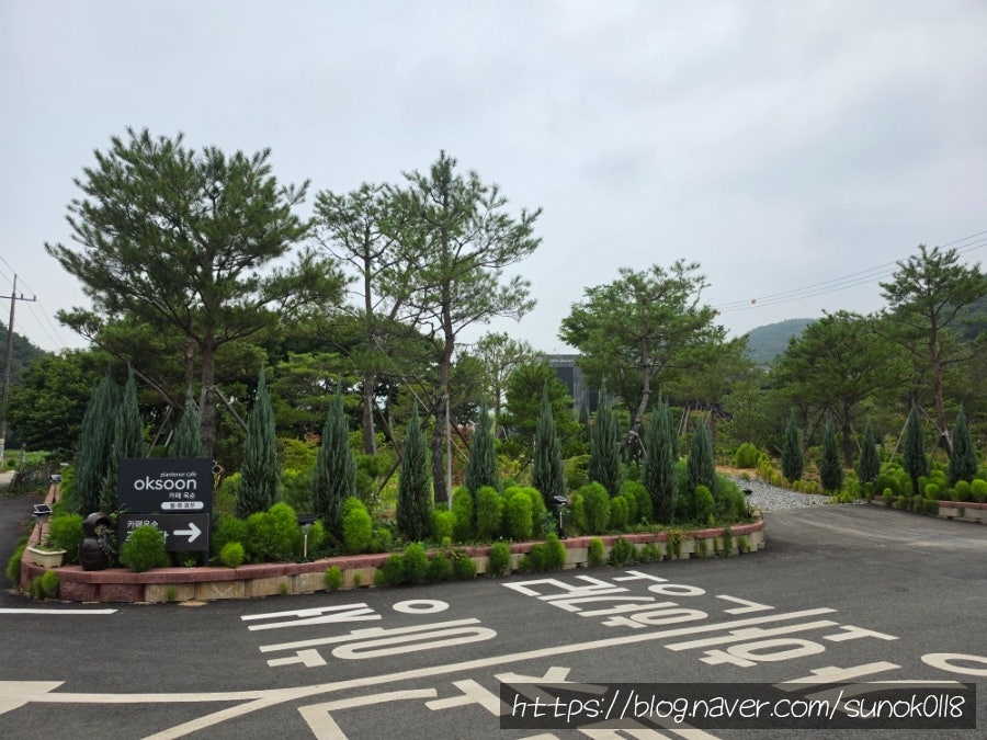 카페옥순 사진 1