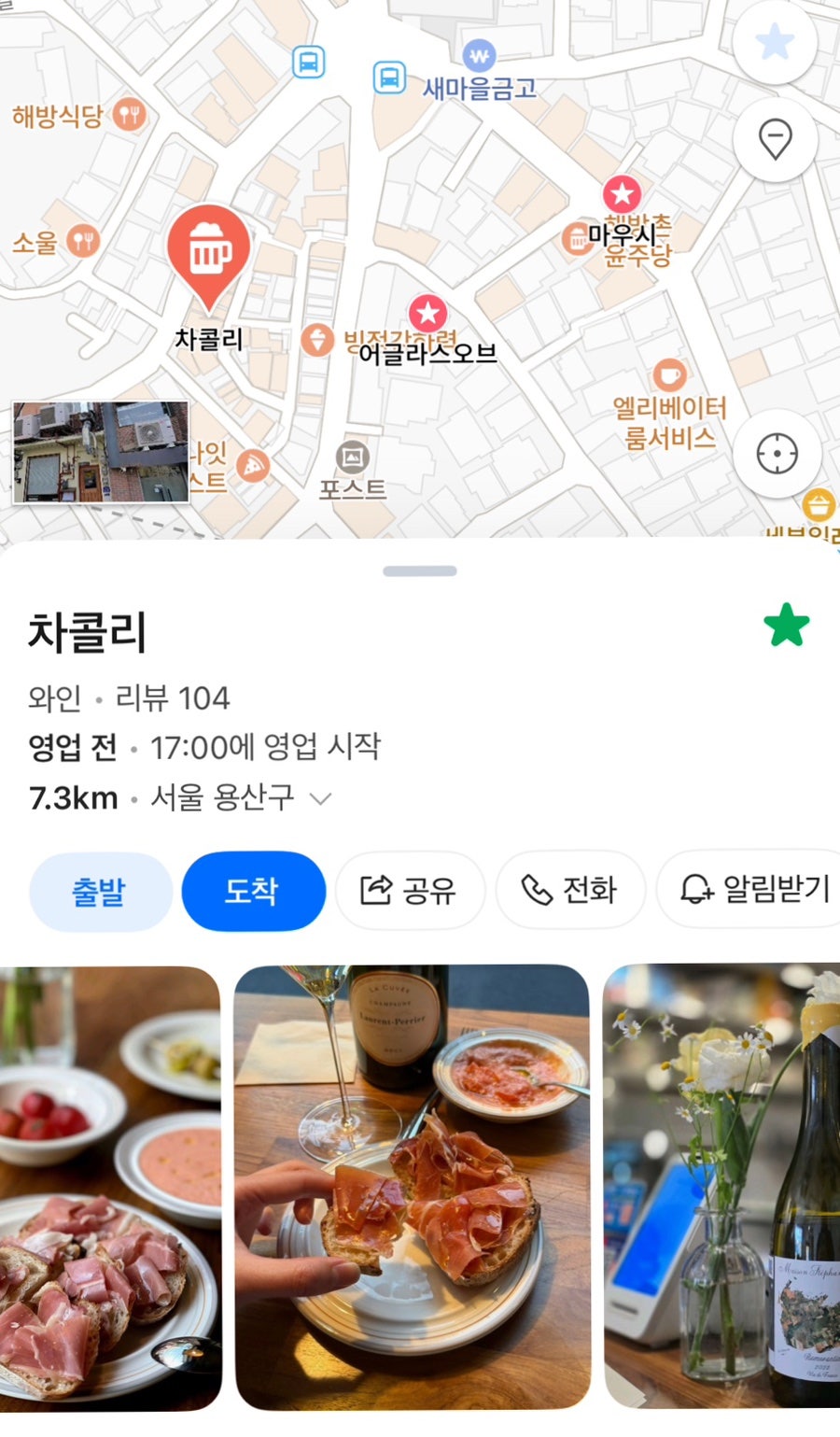콜리 사진 1