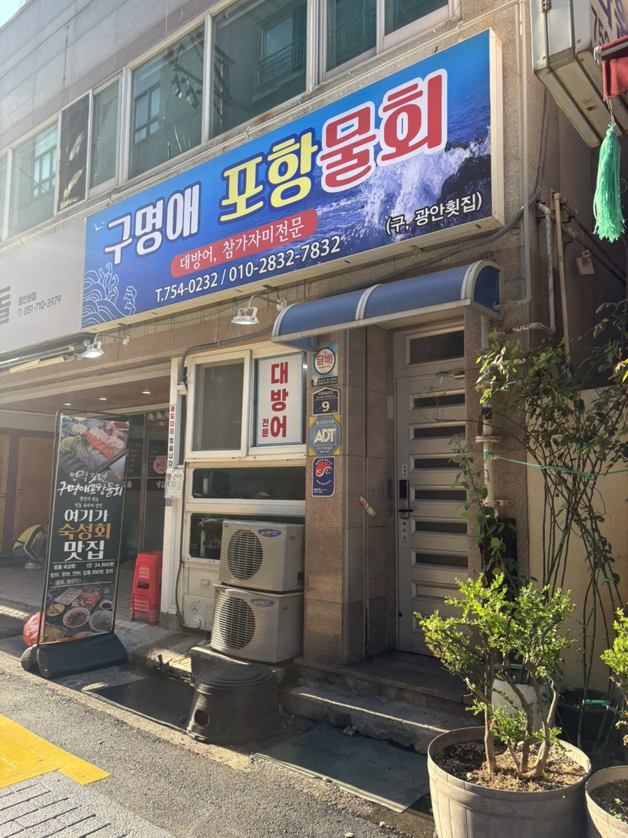 포항물회 사진 2