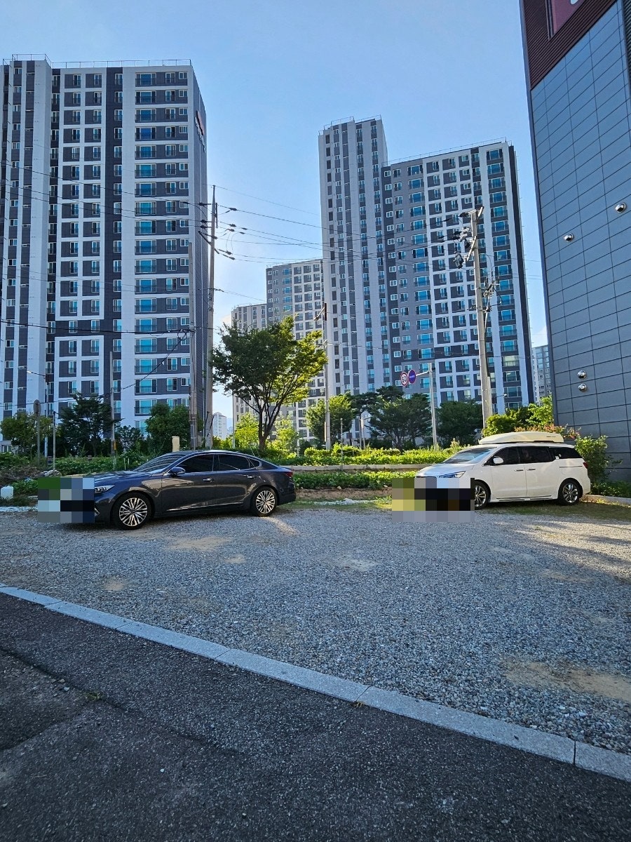 핏제리아안티코 사진 4