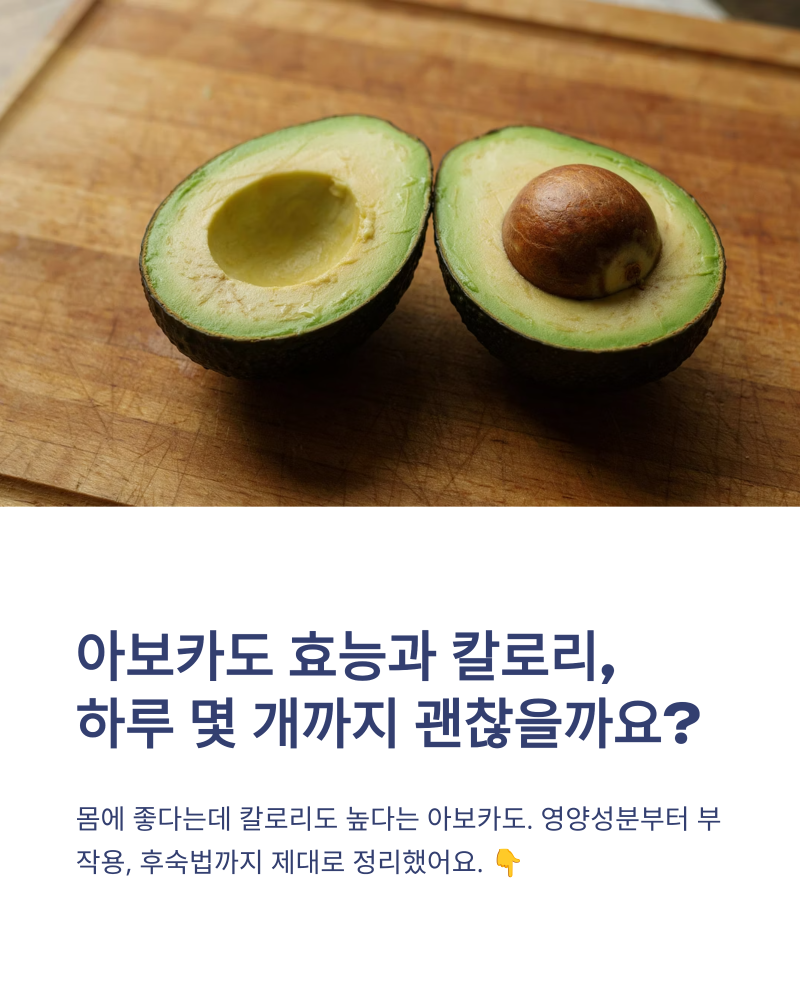 아보카도 효능과 칼로리, 하루 몇 개까지 괜찮을까요 부작용까지 정리