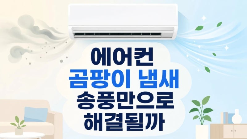 에어컨 곰팡이 냄새 제거, 송풍만으로 해결될까