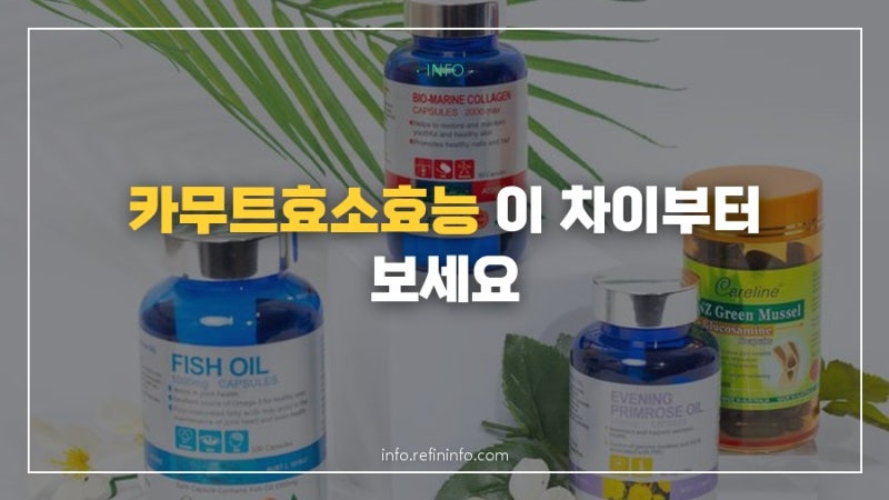 카무트효소효능 효소인지 영양제인지 헷갈린다면 지금 이 차이부터 보세요