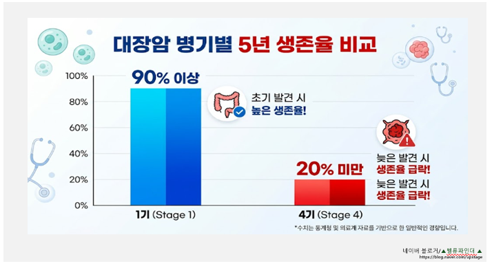 혈변 봤다면 무조건 클릭! 생존율 90% 가르는 대장암 초기증상 3가지