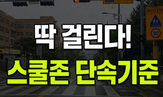 "경찰도 헷갈리는" 스쿨존 단속 기준 총정리: 속도·주정차·신호위반 과태료와 벌점