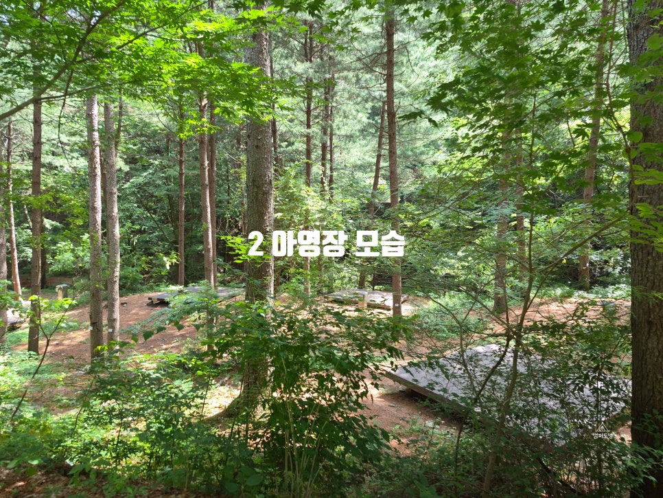 국립산음자연휴양림 사진 2