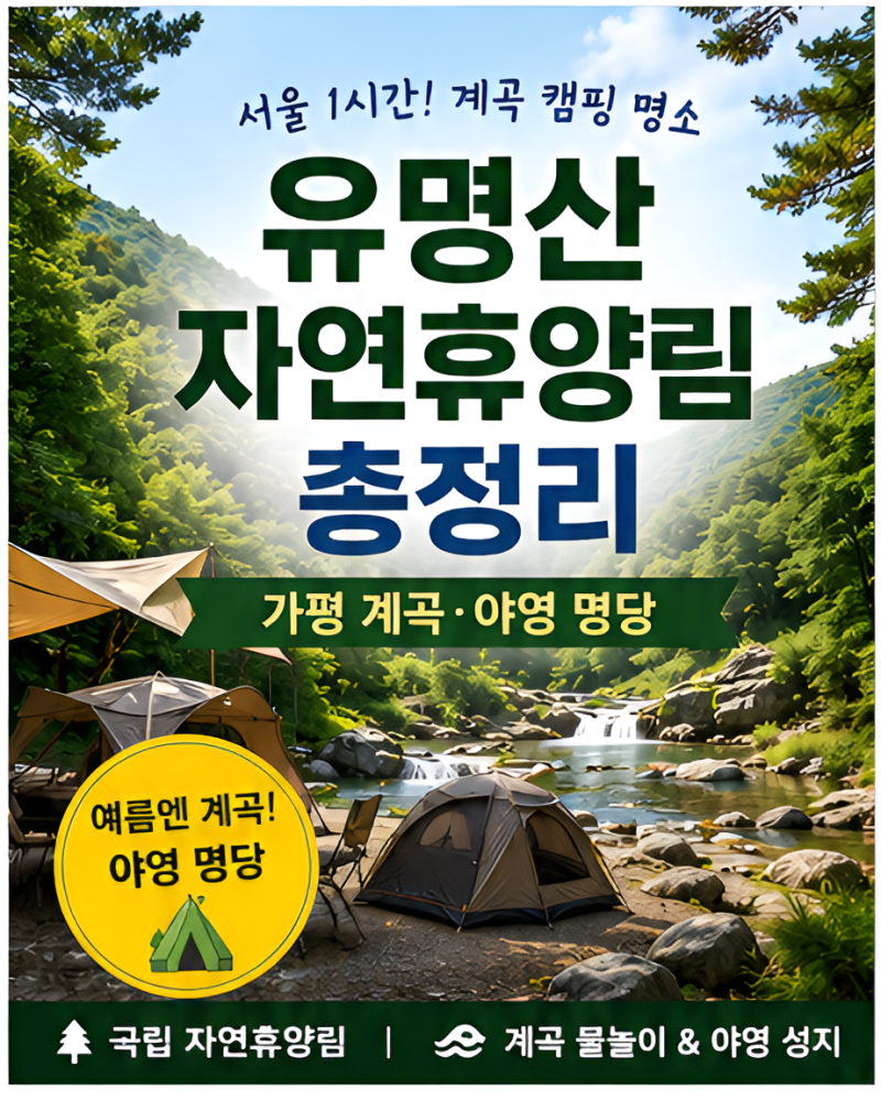 휴양림 27편 / 유명산자연휴양림 예약 방법·요금 총정리 (가평 계곡·야영 명당, 2026)