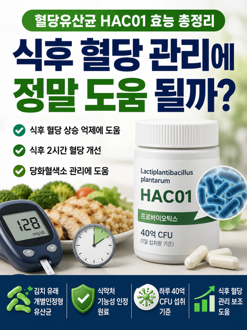 혈당유산균 HAC01 효능 총정리｜식후 혈당 관리에 정말 도움 될까?