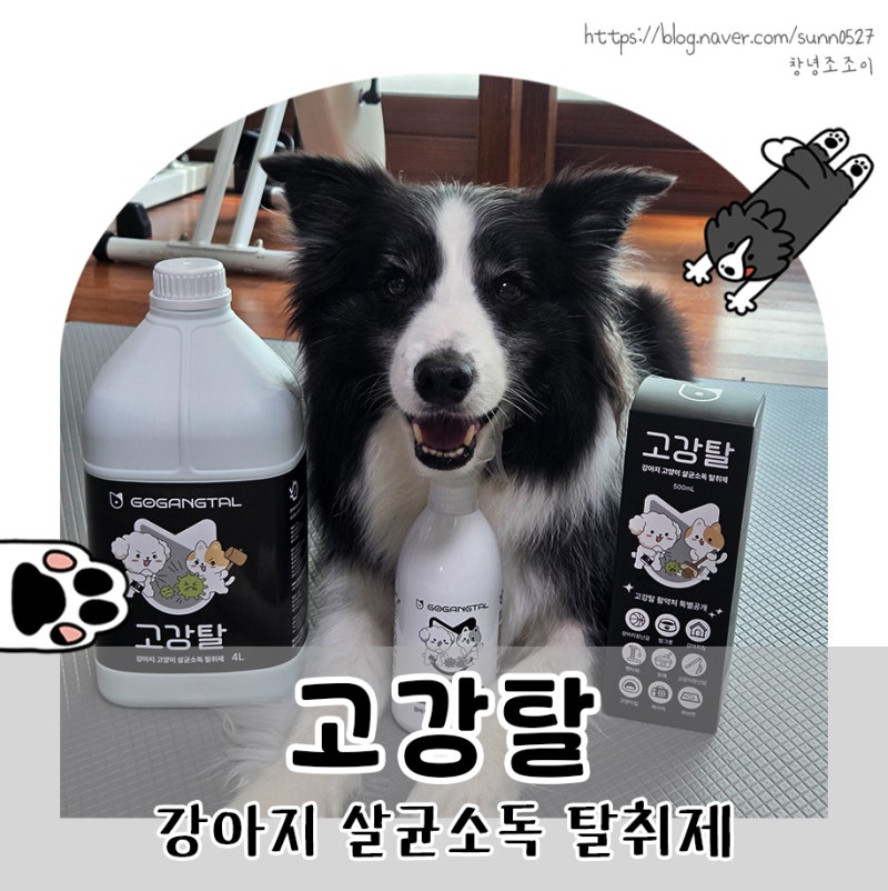 강아지 살균소독 탈취제 고강탈 2년 사용후기