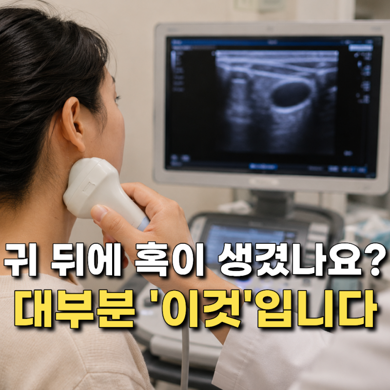 귀 뒤에 멍울이 만져진다면? 이것의 정체는