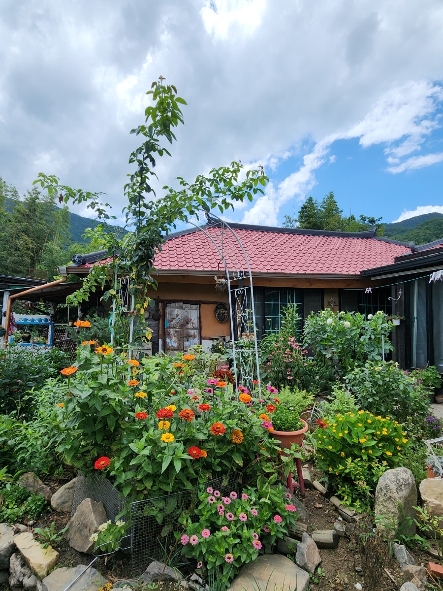산촌민박 사진 4