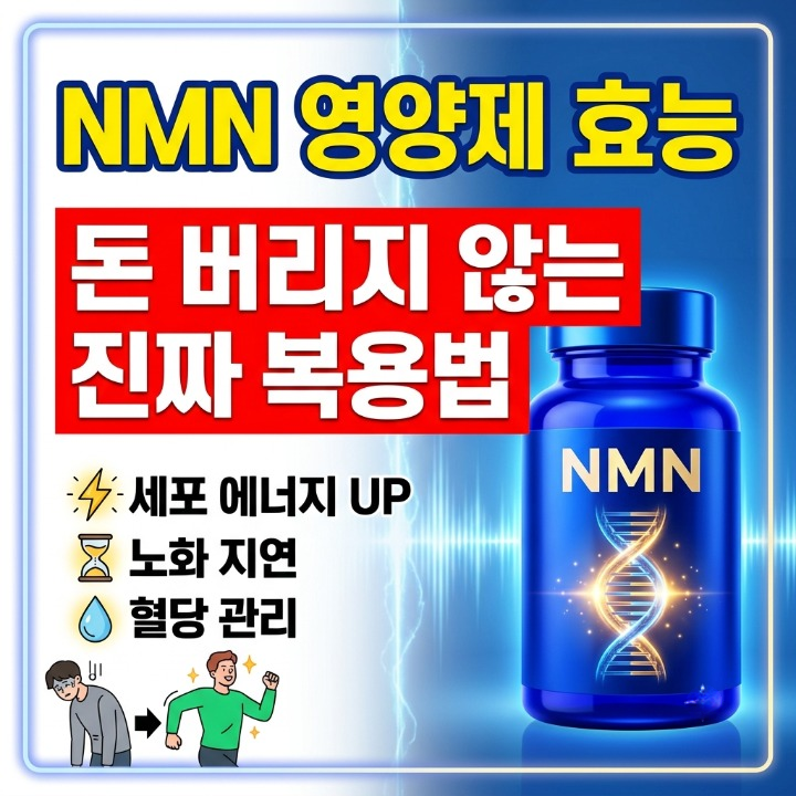 NMN 영양제 효능, 돈 버리지 않는 진짜 복용법
