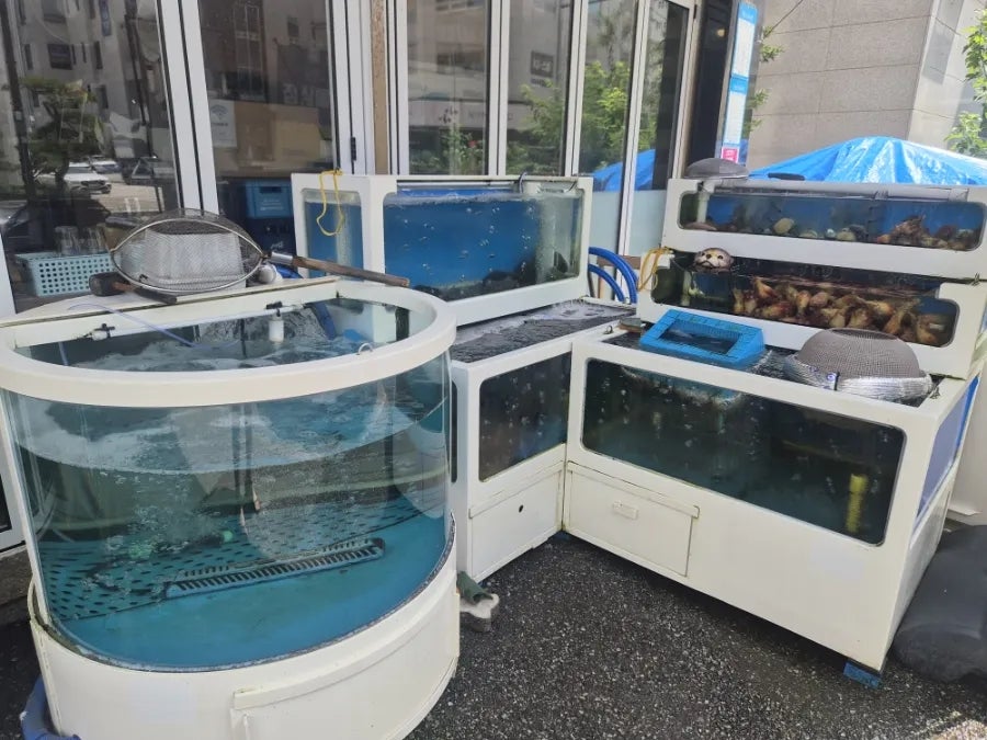오늘도횟집 사진 3