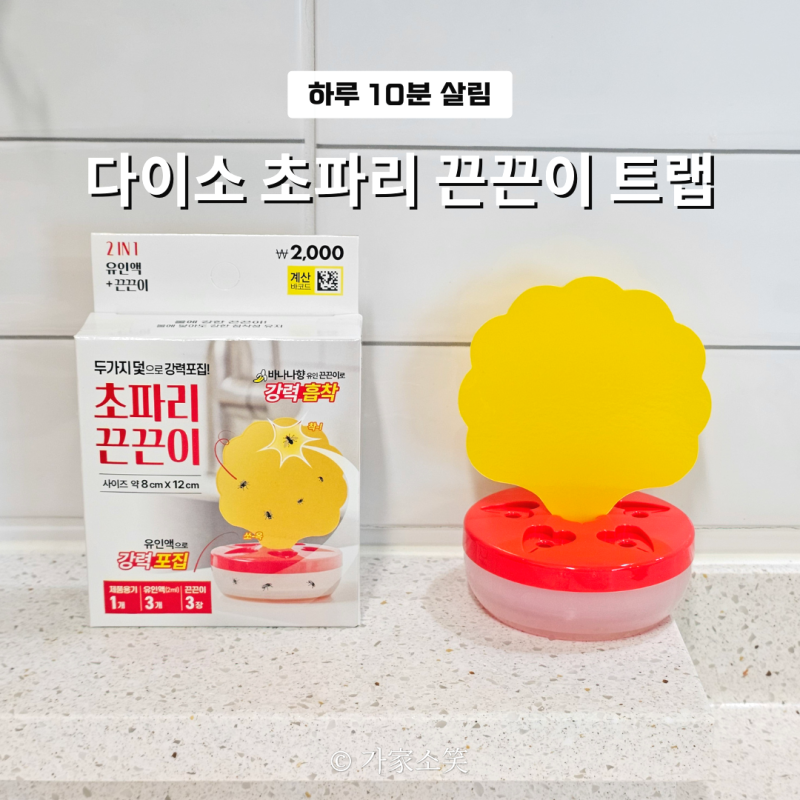 초파리 없애는법, "다이소 초파리 끈끈이 트랩으로 싹 퇴치하기!"