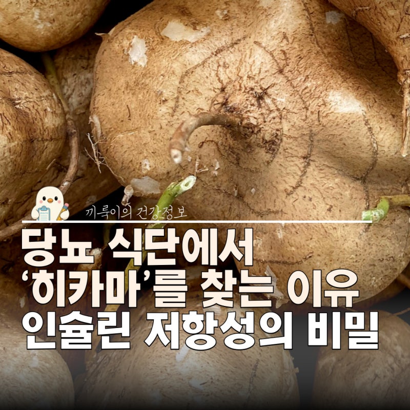 히카마 효능, 멕시코 감자 혈당 당뇨에 좋은 이유: 인슐린 개선부터 먹는법 요리 칼로리
