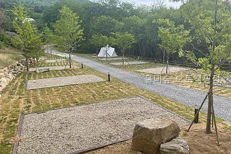 울미숲 사진 2