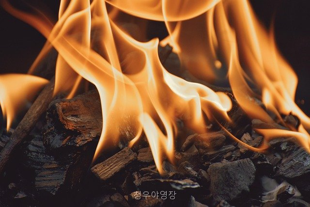 청우야영장 사진 5